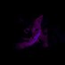 dsrptr✭ (@jxphthxh) Twitter profile photo dsrptr✭ (@jxphthxh) Twitter profile photo