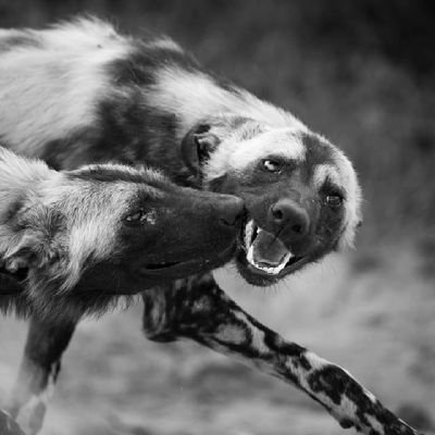 McdonaldMusave2's profile picture. Vigilant mercenary

Illuminate your soul with descipline and integrity.