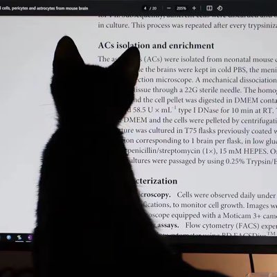 Lakhwinder42297's profile picture. 阁下AI    https://t.co/uJoQ5VRQy1