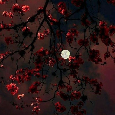 pr9815's profile picture. What you can do today, do today