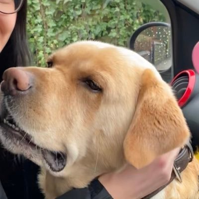 davidtbm9's profile picture. 