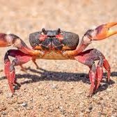 ghtttt185782's profile picture. 97SP5FF9