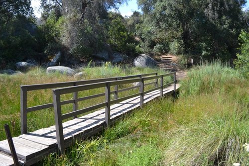 NewJourney1's profile picture. 