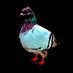 ex bird (@birdhomemaker) Twitter profile photo ex bird (@birdhomemaker) Twitter profile photo