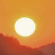 jojaebi88548741's profile picture. 