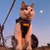 Cat (@gourmetdetect) Twitter profile photo Cat (@gourmetdetect) Twitter profile photo