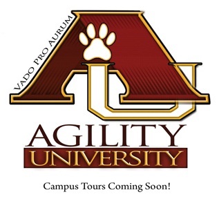 AgilityU's profile picture. 