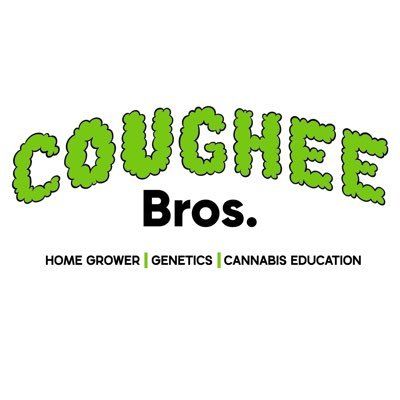 THE University of Minnesota Alum #SkiUmah| Dad | husband | Tattooed | Gamer - #Cannabis enthusiast and Gardener #OhioCannabis