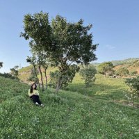 Zheelah (@zheelahaydari) 's Twitter Profile