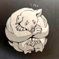 わるいぶたさん (@freeze_pig) Twitter profile photo