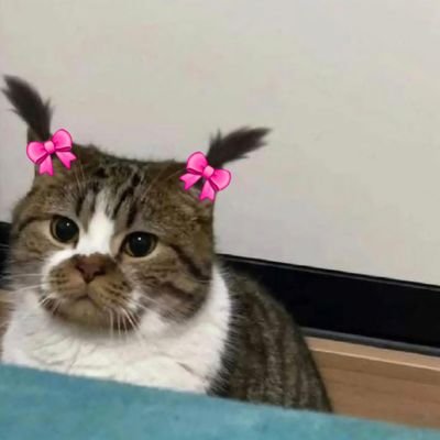☄. *. ⋆ a writer i guess? i fangirl and talk about my books here. a certified ateez & xikers admirer •°. *࿐