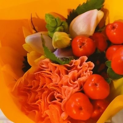 カヤ。（本棚が足りない。）さんのプロフィール画像