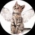 marina (@marlngrado) Twitter profile photo marina (@marlngrado) Twitter profile photo