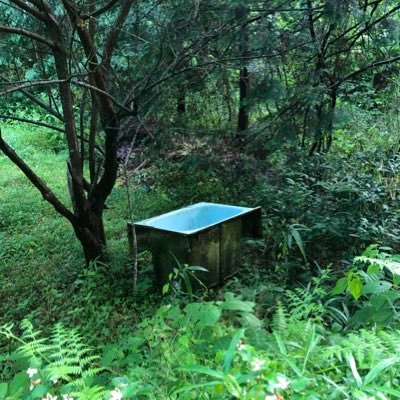 ka__me__'s profile picture. 