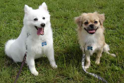 KKTCA's profile picture. MMA JUNKIE &  OAKLAND RAIDERS4LIFE