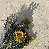 Bloomybyby (@bloomybyby) 's Twitter Profile