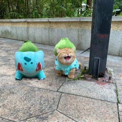 diadiag00d's profile picture. 20⬆️