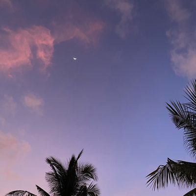 sariwangies's profile picture. ✝️|M22| https://t.co/lVlxJP47sj