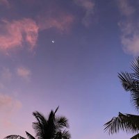 stev (@sariwangies) 's Twitter Profile