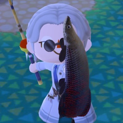 めおさんのプロフィール画像