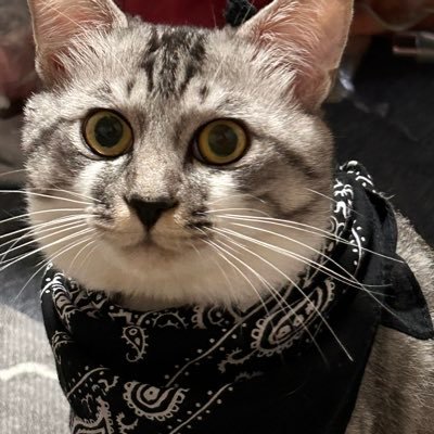 happin__spoon's profile picture. 笑ってるのが1番だよ。