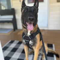Abbey Rigney (@abbeyrigney) 's Twitter Profile