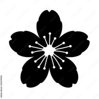 Bahadır (@bahadir_tosun_) Twitter profile photo