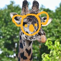 Louisville Zoo (@louisvillezoo) 's Twitter Profile