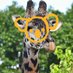 Louisville Zoo (@louisvillezoo) Twitter profile photo Louisville Zoo (@louisvillezoo) Twitter profile photo