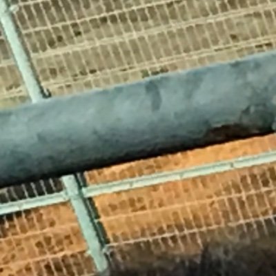 のんさんのプロフィール画像