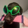 JAMIEWAC's profile picture. 