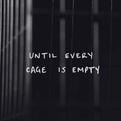 Parkial's profile picture. Loves all animals 
🐶🐱🐷🐰🐔🐮🐑🐻🐋🌱🌻