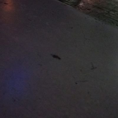 nthxn_su8754's profile picture. Xxxx