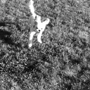 Laura Newcomer - @LANewcomer - Twitter