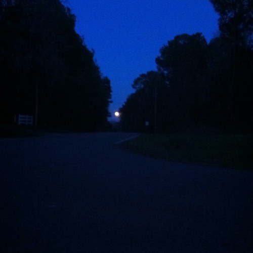 MichaelFlaminio's profile picture. 