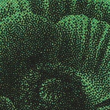 ilud's profile picture. Photographer & Producer