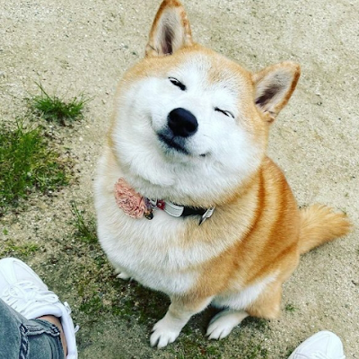 roygbiv_1057's profile picture. 