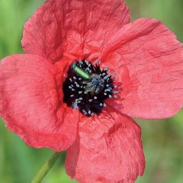 Efi82323's profile picture. 