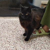 Mary Terry L (@mlorvick77237) 's Twitter Profile