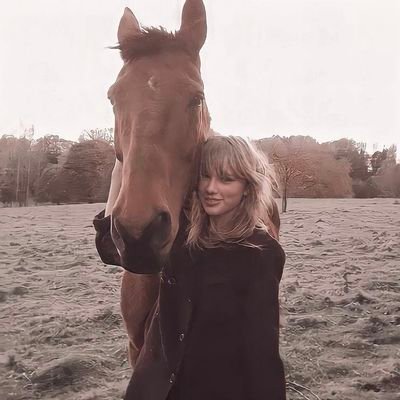 888moony__'s profile picture. ✩˙🍵𓏲⋆ 🪴｡⭒🍙 ˖ﾟ.⚝ 🫐꒷𖦹₊𝜗ৎ .🌿✮ —🐈‍⬛