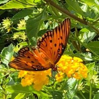 msa 🌼🦋 (@tess_nyy02) 's Twitter Profile Photo msa 🌼🦋 (@tess_nyy02) 's Twitter Profile Photo