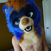 Bodi but gayer (@bodibutgayer) Twitter profile photo