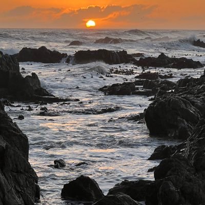 golfisthebest's profile picture. 