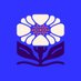 Peca Live Updates (@chepeshepe) Twitter profile photo Peca Live Updates (@chepeshepe) Twitter profile photo