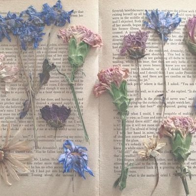 _afternoonrain_'s profile picture. priv // dni