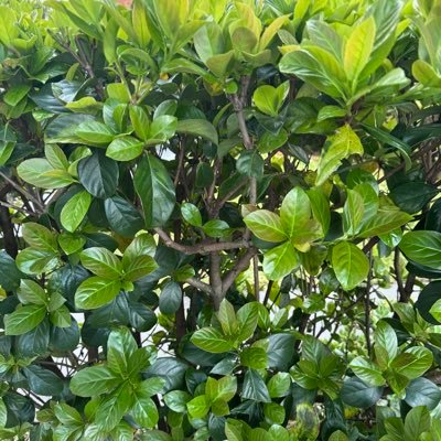 WillMar47866512's profile picture. 