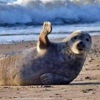 David (@davidsm17906941) 's Twitter Profile