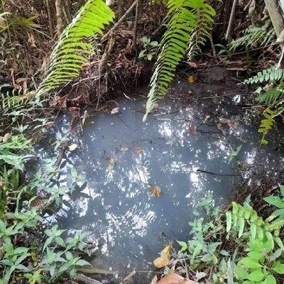 KouadioL's profile picture. “think things, not words” Oliver Wendell Holmes