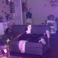 I’m Dan Adebayo (@imdbro) 's Twitter Profile