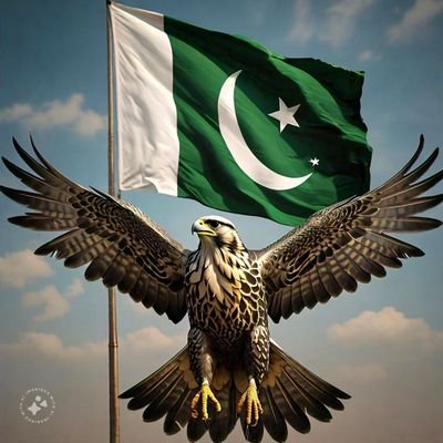 Sania1432's profile image